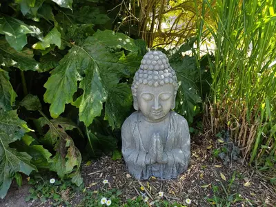 Jardin de l'établissement Au Jardin de la Marquetterie