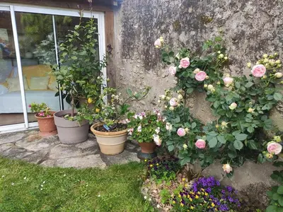 Plan de l'établissement Le Relais de l'Ormeau - Charmant gîte pour 4 pers.