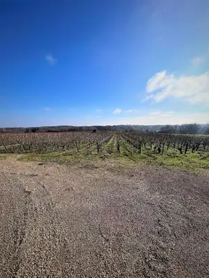 Paysage naturel près de l'appartement