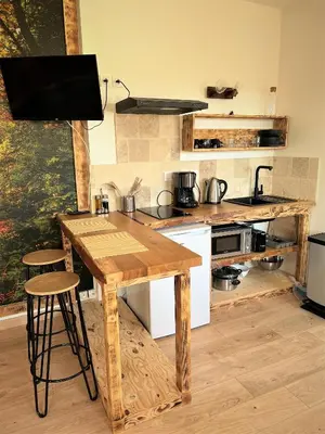 Cuisine ou kitchenette dans l'établissement Balade en Forêt, 3min du Zoo