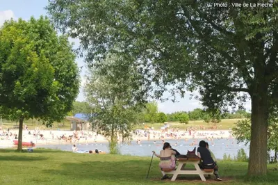 Plan de l'établissement Chalet charmant à Clermont-Créans avec piscine partagée