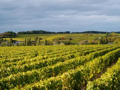 Paysage naturel près de la maison de vacances