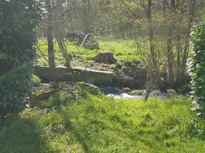 Paysage naturel près de le B&B/chambre d'hôtes