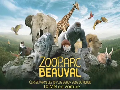 Animaux dans le séjour chez l'habitant ou à proximité