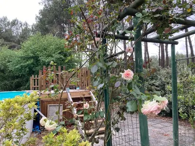 Jardin de l'établissement Maison ligne droite des Hunaudières-Circuit 24H du Mans