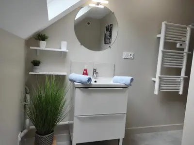Salle de bains dans l'établissement duplex appartement 70m2 atypique au cœur du Mans