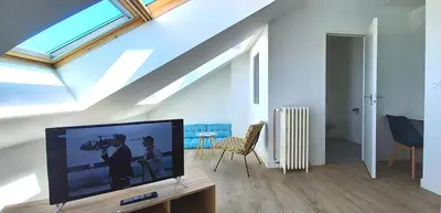 Télévision ou salle de divertissement dans l'établissement Histoire de Loire La Gabare