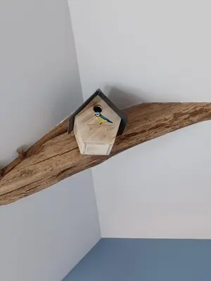 Plan de l'établissement Rêve de Loire chambres d'hôtes au calme au pied des châteaux de la Loire