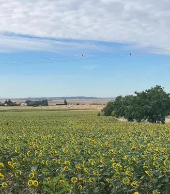 Paysage naturel près de le B&B/chambre d'hôtes