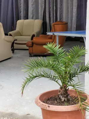 Coin salon dans l'établissement Studio Séquoia au pied du Château