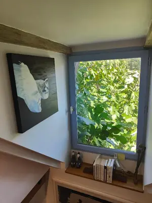 Plan de l'établissement La Maison Bleue de Husseau Ancienne ferme semi-troglodytique 18e siècle