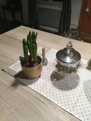 Plan de l'établissement Chambre privée avec salle de bains