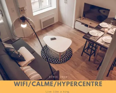 Télévision ou salle de divertissement dans l'établissement LeBeauBrun_ HyperCentre_ Duplex