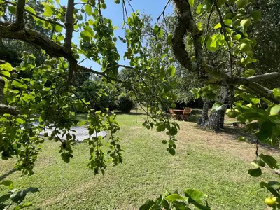 Jardin de l'établissement Gîte des Gâtines 3 étoiles