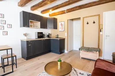 Cuisine ou kitchenette dans l'établissement Cocon du Vieux Tours
