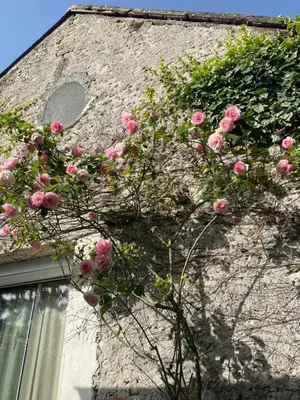Jardin de l'établissement Les Bocages, gîtes de charme en Val de Loire, piscine chauffée