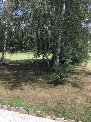 Jardin de l'établissement La Petite Salamandre