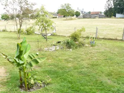 Jardin de l'établissement Chambres des 24h00 du Mans