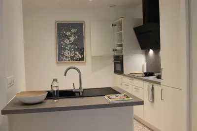 Cuisine ou kitchenette dans l'établissement Le Mans Hypercentre - proche place République