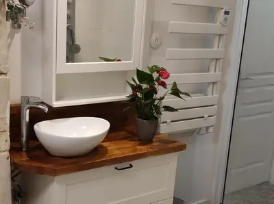 Salle de bains dans l'établissement Détente au bord du Loir - Gîte 1