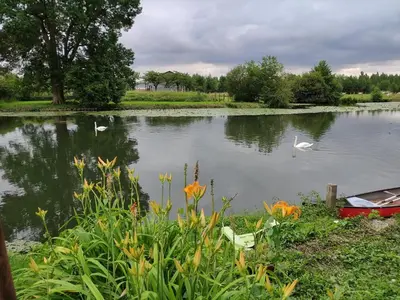 Vue sur la rivière ou le fleuve situé(e) à proximité de la maison de vacances