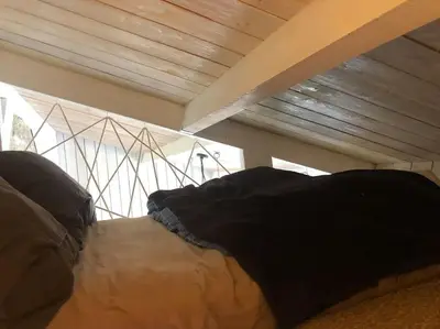 Animal ou animaux domestique(s) séjournant avec des clients dans l'établissement Tiny house sur la Loire à vélo à Villandry