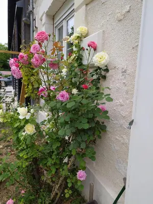 Jardin de l'établissement Sur La Route Des Châteaux