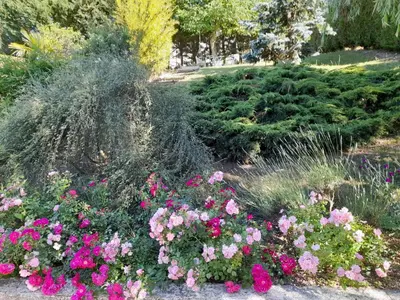 Jardin de l'établissement Maison de Marie