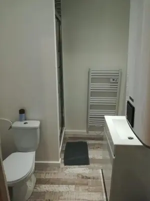 Salle de bains dans l'établissement Alsace N°1