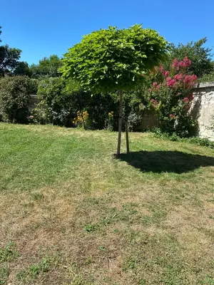 Jardin de l'établissement Le Méli-Mélo de Beauval