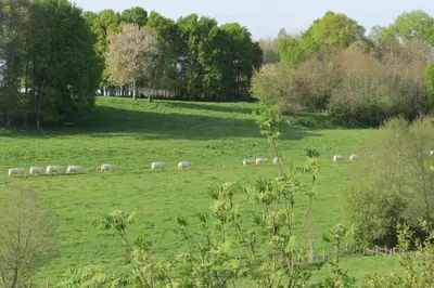 Paysage naturel près de l'appartement