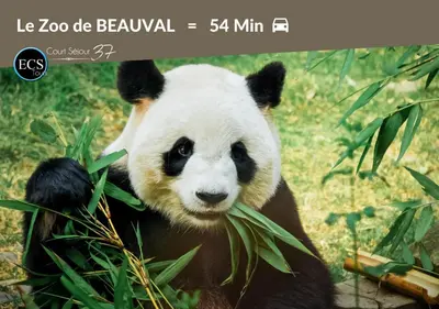 Animaux dans l'appartement ou à proximité