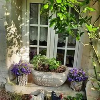 Jardin de l'établissement Esprit Troglo