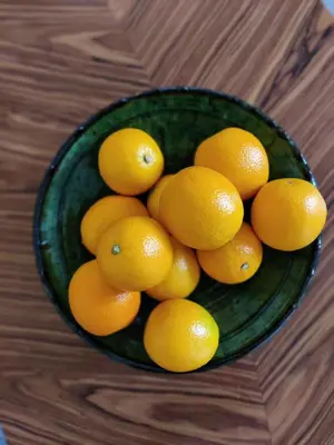 Nourriture dans l'appartement ou à proximité