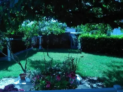 Jardin de l'établissement MAISON A 10MIN DU ZOO DE BEAUVAL