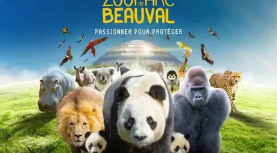 Animaux dans le B&B/chambre d'hôtes ou à proximité
