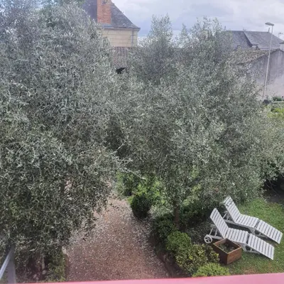 Jardin de l'établissement VILLA DE SOUZA