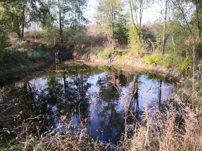 Paysage naturel près de l'appartement
