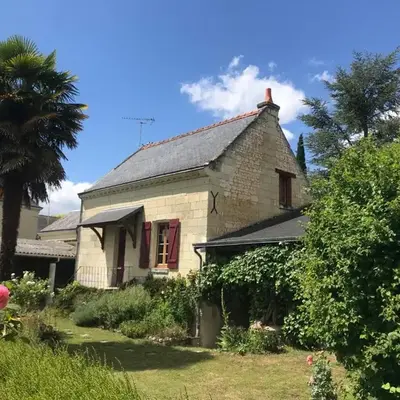 Le Dorelot du lièvre