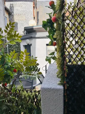 Jardin de l'établissement The Grey House
