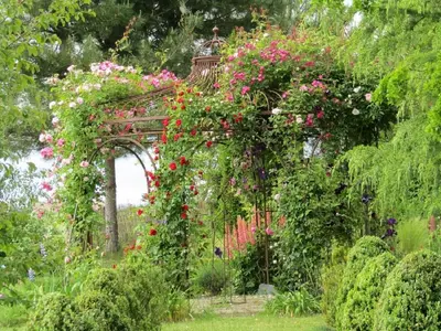 Jardin de l'établissement Chambre d hotes la Barrière