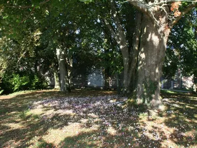 Jardin de l'établissement Gîte de charme avec piscine chauffée et sauna, au cœur d'une propriété historique en Val de Loire - FR-1-381-128