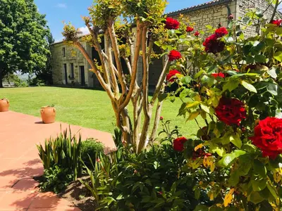 Jardin de l'établissement Gîte AU BOOM COEUR forfait Spa, Dîner & Petit-déjeuner inclus