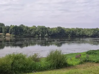 Vue sur la rivière ou le fleuve situé(e) à proximité de la maison de vacances