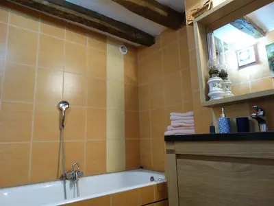 Salle de bains dans l'établissement Vue sur Chateau et Loire