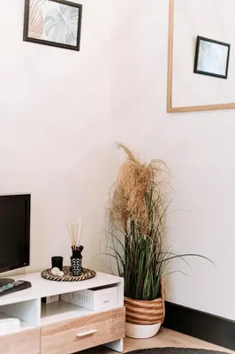 Télévision ou salle de divertissement dans l'établissement Yellow Studio - Arrivée Autonome