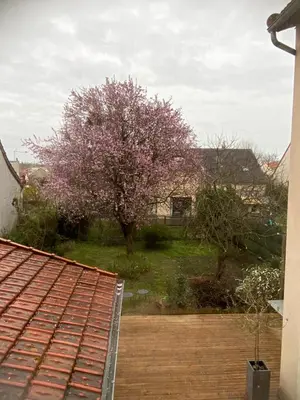 Jardin de l'établissement MAISON 4 chambres 12 pers à 2,8KM DU CIRCUIT et proche BOULERIES JUMP