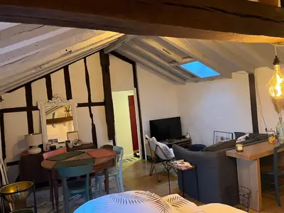 Coin salon dans l'établissement Appartement dans le Vieux Mans