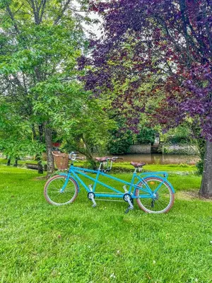 Vélo sur le terrain de l'établissement Gîte Saint Joseph ou dans les environs