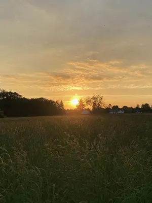 Lever ou coucher de soleil vu de la maison d'hôtes ou à proximité